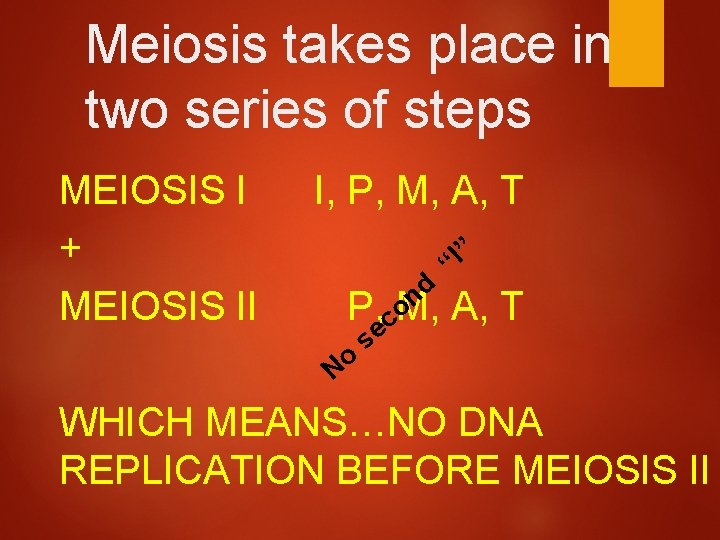 Meiosis takes place in two series of steps MEIOSIS I + MEIOSIS II I,