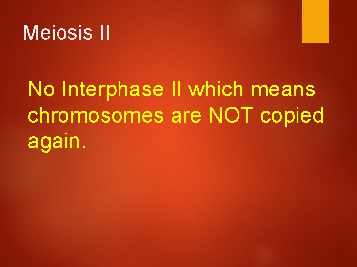 Meiosis II No Interphase II which means chromosomes are NOT copied again. 