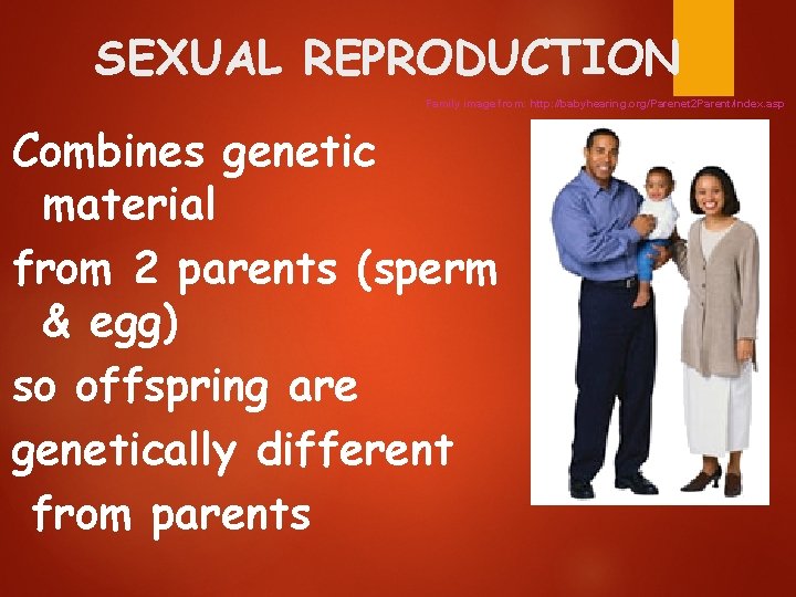 SEXUAL REPRODUCTION Family image from: http: //babyhearing. org/Parenet 2 Parent/index. asp Combines genetic material