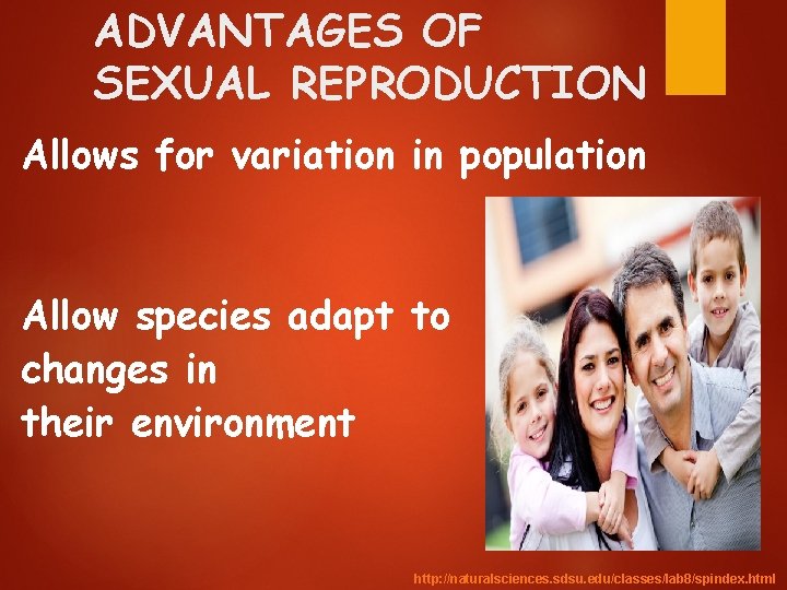 ADVANTAGES OF SEXUAL REPRODUCTION Allows for variation in population Allow species adapt to changes
