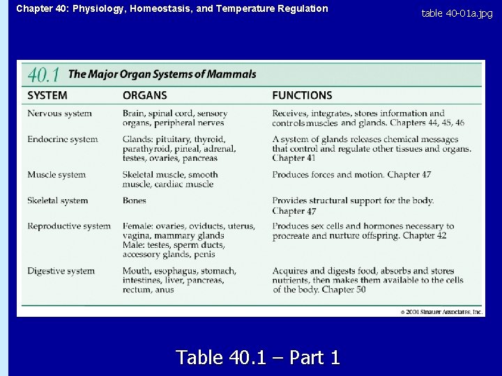 Chapter 40: Physiology, Homeostasis, and Temperature Regulation Table 40. 1 – Part 1 table