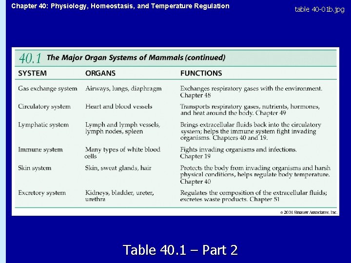 Chapter 40: Physiology, Homeostasis, and Temperature Regulation Table 40. 1 – Part 2 table