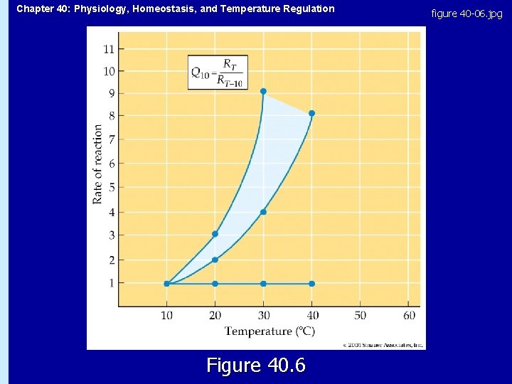 Chapter 40: Physiology, Homeostasis, and Temperature Regulation Figure 40. 6 figure 40 -06. jpg