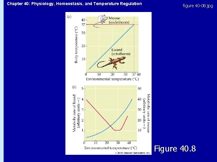 Chapter 40: Physiology, Homeostasis, and Temperature Regulation figure 40 -08. jpg Figure 40. 8