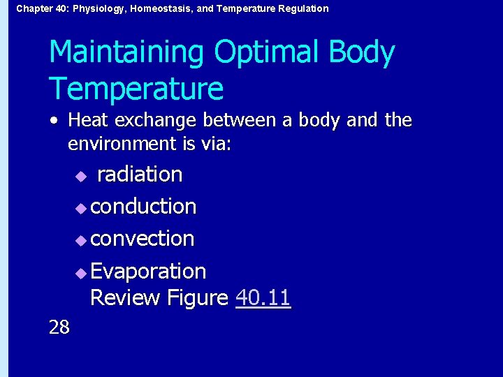 Chapter 40: Physiology, Homeostasis, and Temperature Regulation Maintaining Optimal Body Temperature • Heat exchange