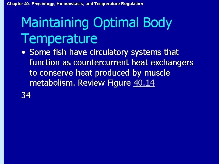 Chapter 40: Physiology, Homeostasis, and Temperature Regulation Maintaining Optimal Body Temperature • Some fish