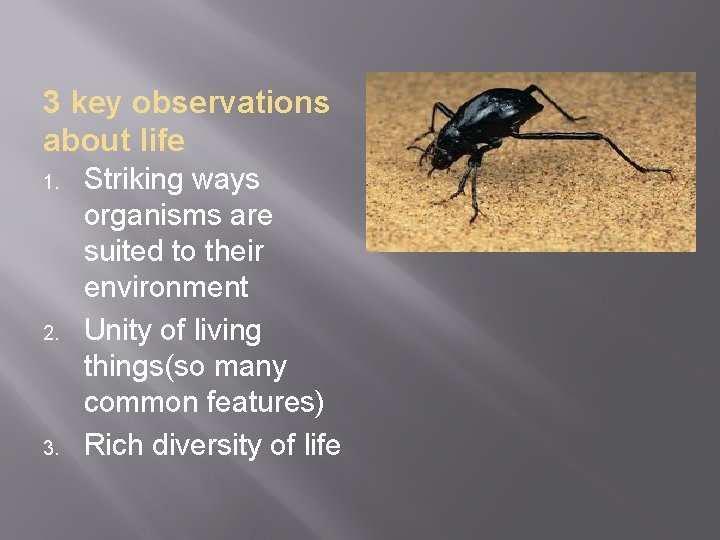 3 key observations about life 1. 2. 3. Striking ways organisms are suited to