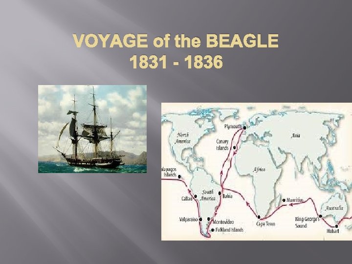 VOYAGE of the BEAGLE 1831 - 1836 