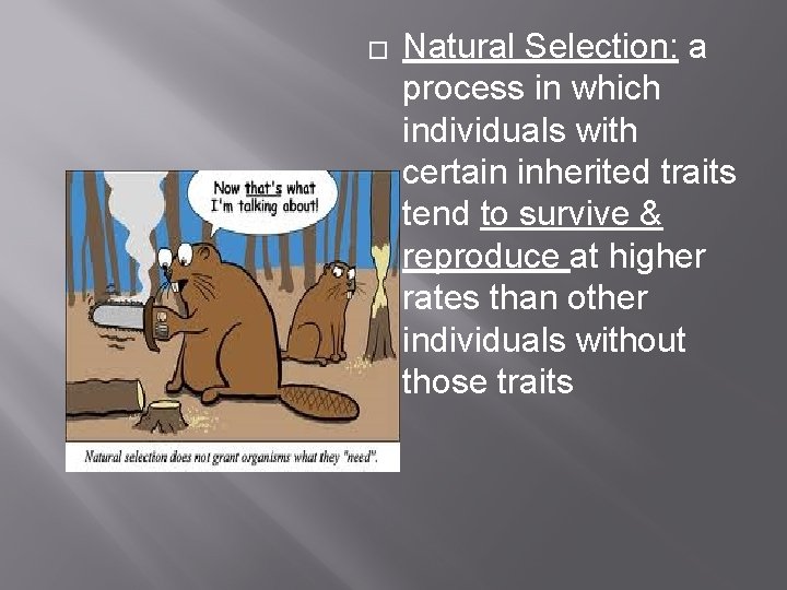 � Natural Selection: a process in which individuals with certain inherited traits tend to