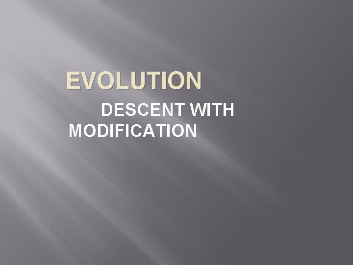 EVOLUTION DESCENT WITH MODIFICATION 