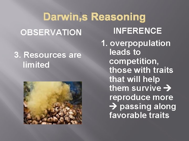 Darwin’s Reasoning OBSERVATION 3. Resources are limited INFERENCE 1. overpopulation leads to competition, those