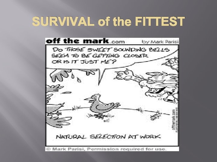 SURVIVAL of the FITTEST 