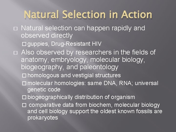 Natural Selection in Action � Natural selection can happen rapidly and observed directly �