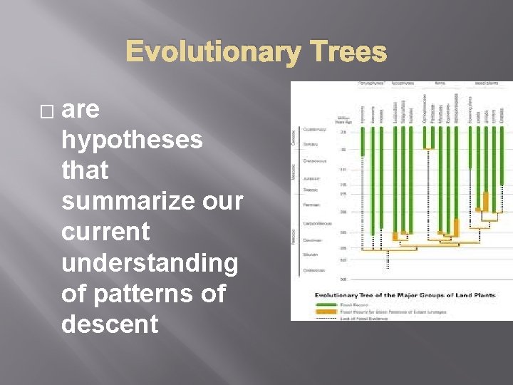 Evolutionary Trees � are hypotheses that summarize our current understanding of patterns of descent