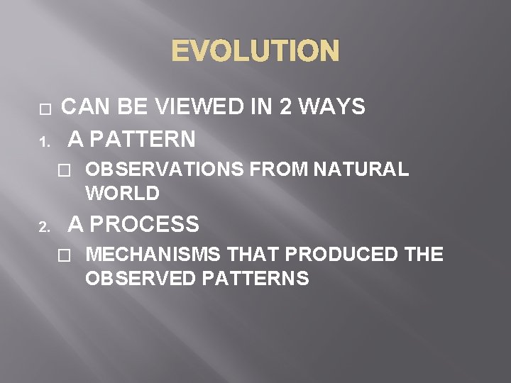 EVOLUTION � 1. CAN BE VIEWED IN 2 WAYS A PATTERN � 2. OBSERVATIONS