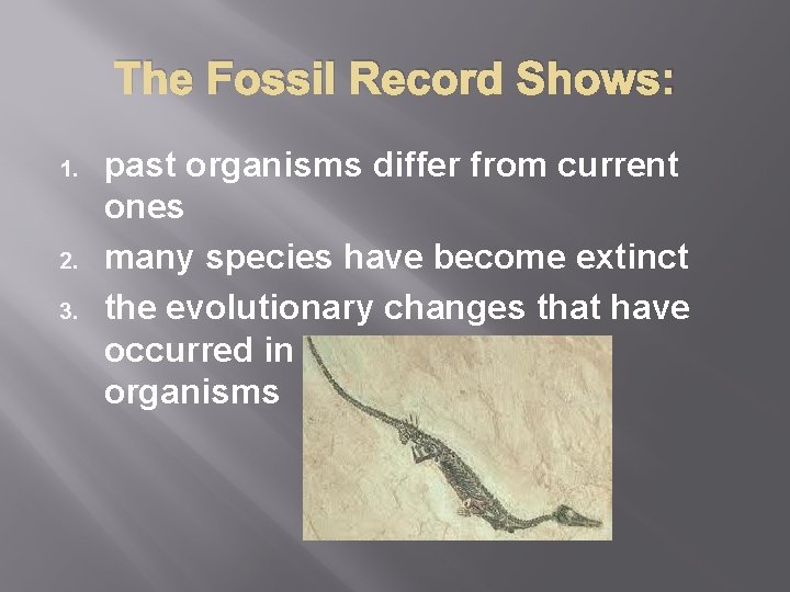The Fossil Record Shows: 1. 2. 3. past organisms differ from current ones many