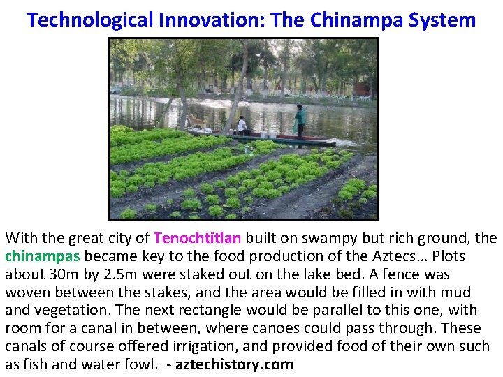 Technological Innovation: The Chinampa System With the great city of Tenochtitlan built on swampy