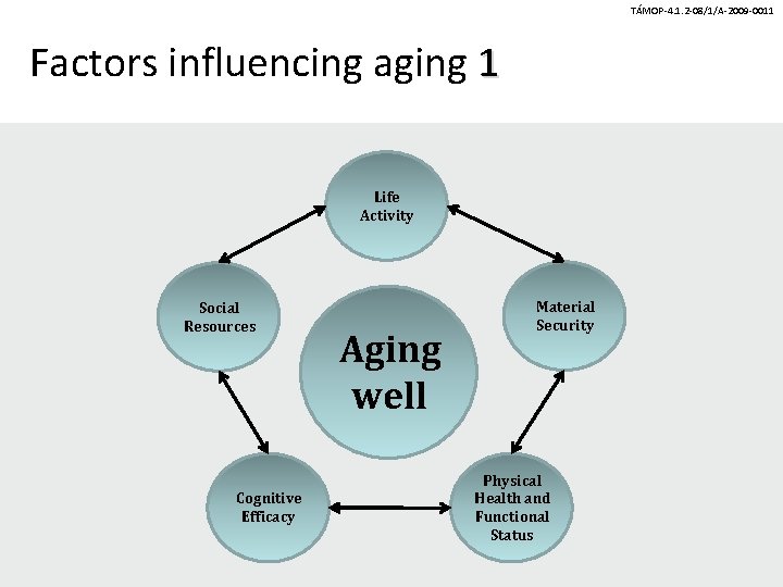 TÁMOP-4. 1. 2 -08/1/A-2009 -0011 Factors influencing aging 1 Life Activity Social Resources Cognitive