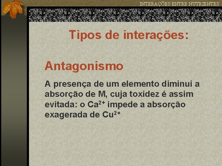 INTERAÇÕES ENTRE NUTRIENTES Tipos de interações: Antagonismo A presença de um elemento diminui a