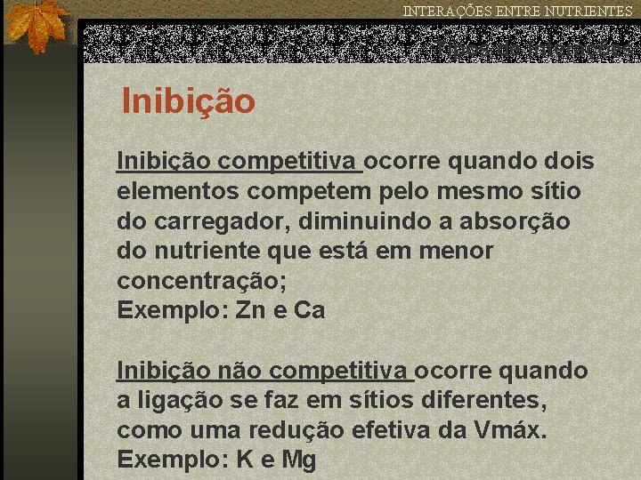 INTERAÇÕES ENTRE NUTRIENTES Tipos de interações Inibição competitiva ocorre quando dois elementos competem pelo