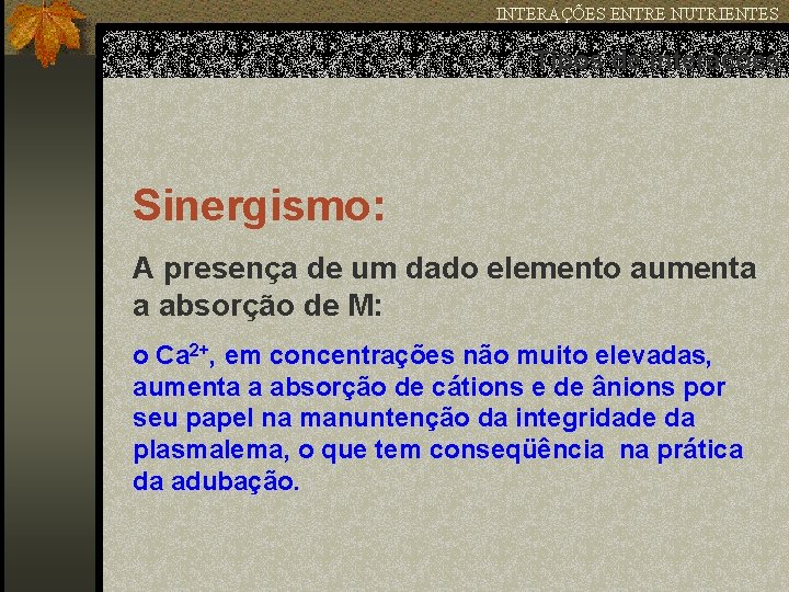INTERAÇÕES ENTRE NUTRIENTES Tipos de interações Sinergismo: A presença de um dado elemento aumenta