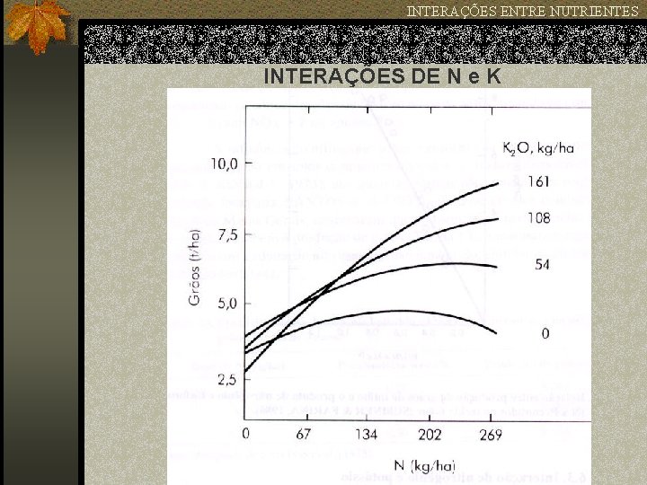 INTERAÇÕES ENTRE NUTRIENTES INTERAÇÕES DE N e K 