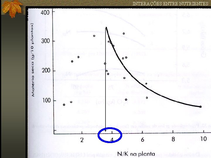 INTERAÇÕES ENTRE NUTRIENTES 