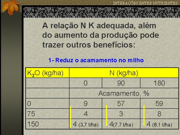 INTERAÇÕES ENTRE NUTRIENTES A relação N K adequada, além do aumento da produção pode