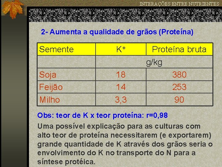 INTERAÇÕES ENTRE NUTRIENTES 2 - Aumenta a qualidade de grãos (Proteína) Semente K+ Soja