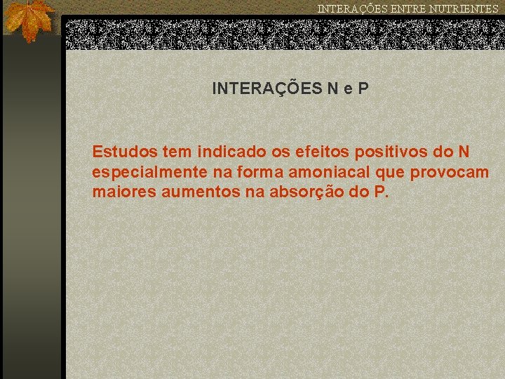 INTERAÇÕES ENTRE NUTRIENTES INTERAÇÕES N e P Estudos tem indicado os efeitos positivos do