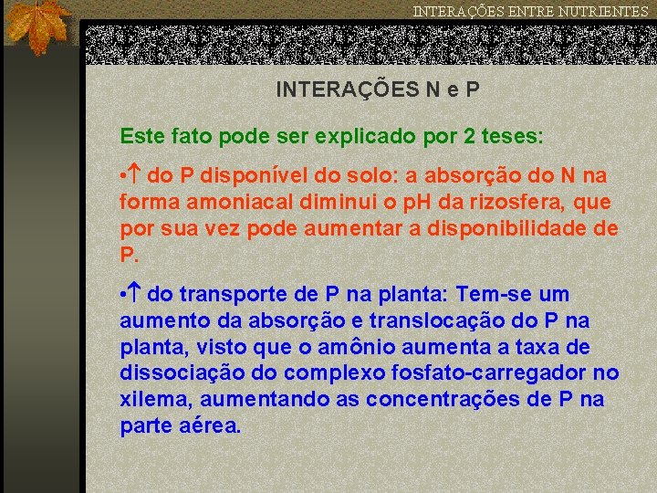 INTERAÇÕES ENTRE NUTRIENTES INTERAÇÕES N e P Este fato pode ser explicado por 2