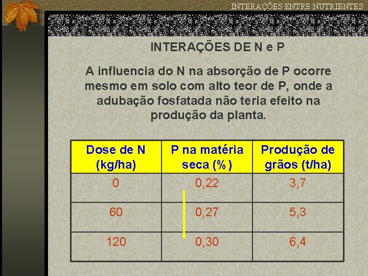 INTERAÇÕES ENTRE NUTRIENTES INTERAÇÕES DE N e P A influencia do N na absorção