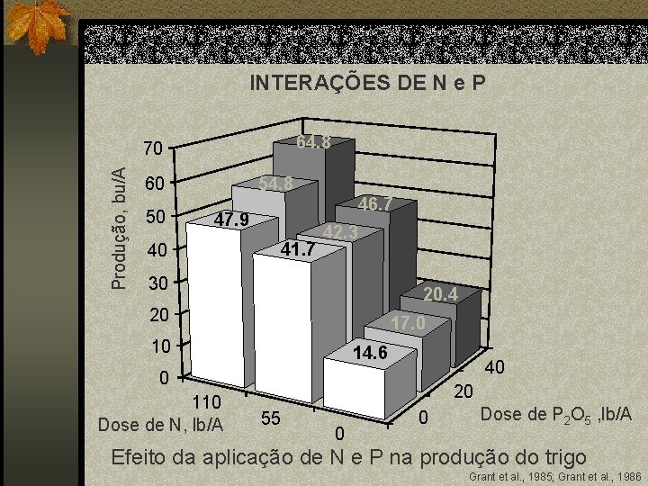 INTERAÇÕES DE N e P 64. 8 Produção, bu/A 70 60 50 54. 8