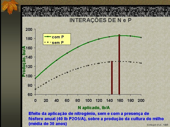 INTERAÇÕES DE N e P 200 com P sem P Produção, bu/A 180 160