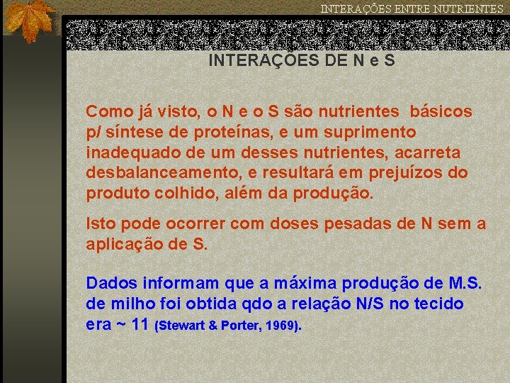 INTERAÇÕES ENTRE NUTRIENTES INTERAÇÕES DE N e S Como já visto, o N e