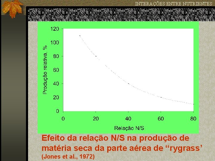 INTERAÇÕES ENTRE NUTRIENTES INTERAÇÕES DE N e S Efeito da relação N/S na produção