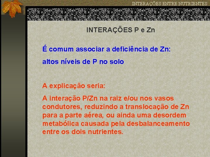 INTERAÇÕES ENTRE NUTRIENTES INTERAÇÕES P e Zn É comum associar a deficiência de Zn: