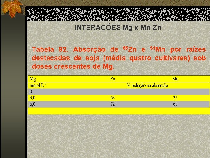 INTERAÇÕES Mg x Mn-Zn Tabela 92. Absorção de 65 Zn e 54 Mn por