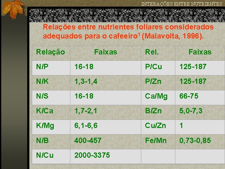 INTERAÇÕES ENTRE NUTRIENTES Relações entre nutrientes foliares considerados adequados para o cafeeiro 1 (Malavolta,