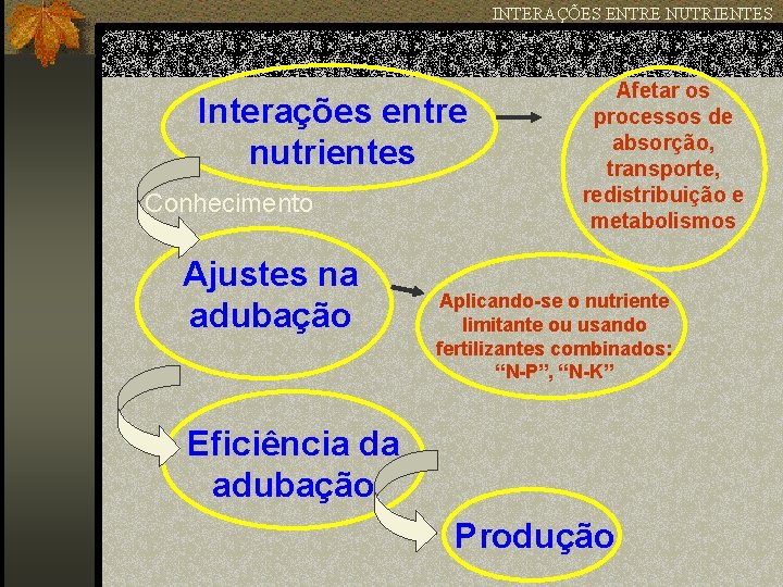 INTERAÇÕES ENTRE NUTRIENTES Interações entre nutrientes Conhecimento Ajustes na adubação Afetar os processos de