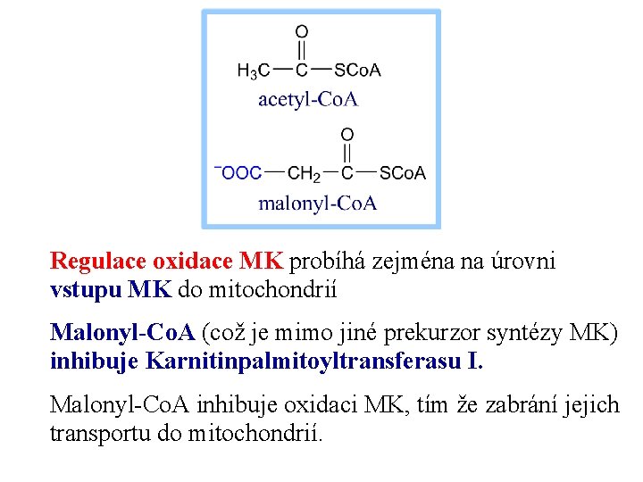 Regulace oxidace MK probíhá zejména na úrovni vstupu MK do mitochondrií Malonyl-Co. A (což