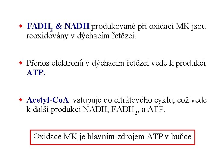 w FADH 2 & NADH produkované při oxidaci MK jsou reoxidovány v dýchacím řetězci.