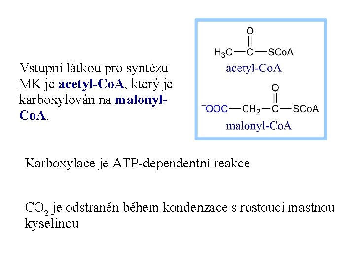 Vstupní látkou pro syntézu MK je acetyl-Co. A, který je karboxylován na malonyl. Co.