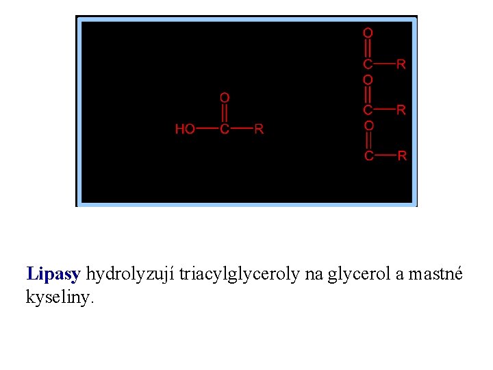 Lipasy hydrolyzují triacylglyceroly na glycerol a mastné kyseliny. 