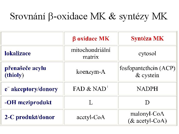 Srovnání b-oxidace MK & syntézy MK 
