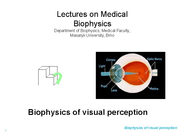 Lectures on Medical Biophysics Department of Biophysics, Medical Faculty, Masaryk University, Brno Biophysics of