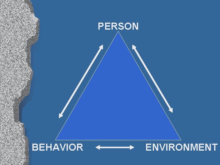 PERSON BEHAVIOR ENVIRONMENT 