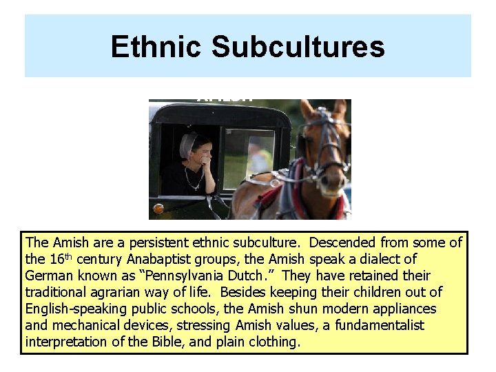Ethnic Subcultures AMISH The Amish are a persistent ethnic subculture. Descended from some of