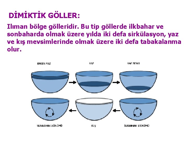 DİMİKTİK GÖLLER: Ilıman bölge gölleridir. Bu tip göllerde ilkbahar ve sonbaharda olmak üzere yılda