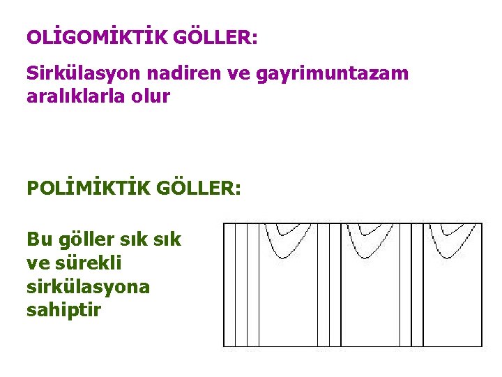 OLİGOMİKTİK GÖLLER: Sirkülasyon nadiren ve gayrimuntazam aralıklarla olur POLİMİKTİK GÖLLER: Bu göller sık ve